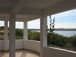 Apartmani Antica - Okoliš-a.jpg