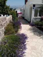 Apartmani Dada - IMG-2441866e72e77981fe2afc3d183243ad-V.jpg